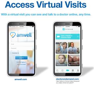 Access Virtual Visits 